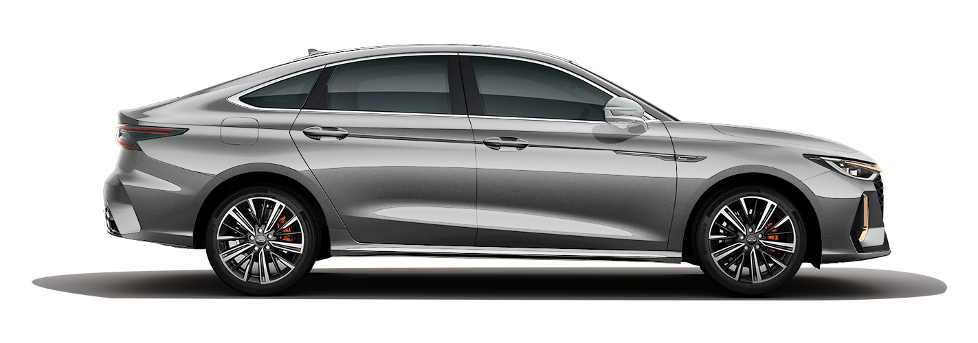 СЕРЕБРИСТЫЙ СЕРЫЙ